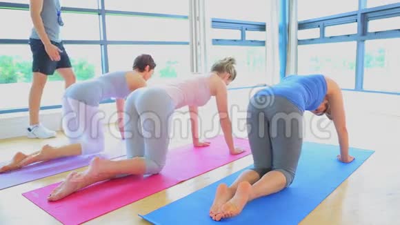 瑜伽课上妇女在垫子上伸展的视频视频的预览图