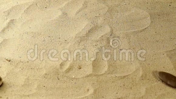 石头带着一颗心在沙子里移动视频的预览图