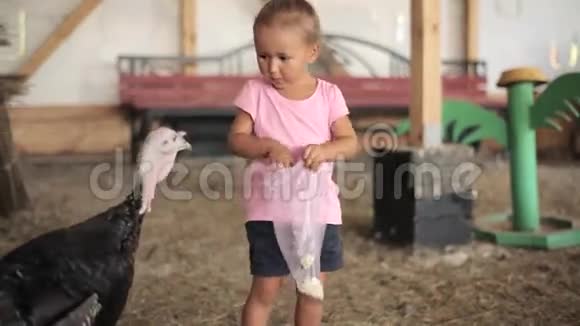 一个小女孩在养鸡场喂母鸡吓着火鸡视频的预览图