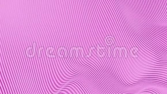随机移动的管子电线线条的动画抽象粉红色背景五彩缤纷的波浪3D渲染视频的预览图