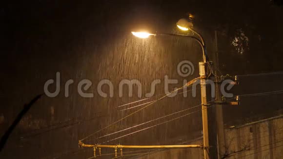 雨夜4KUHD视频的预览图