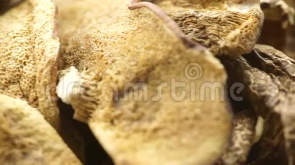 木表面干蘑菇视频的预览图