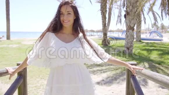 海滩小桥上的美女视频的预览图