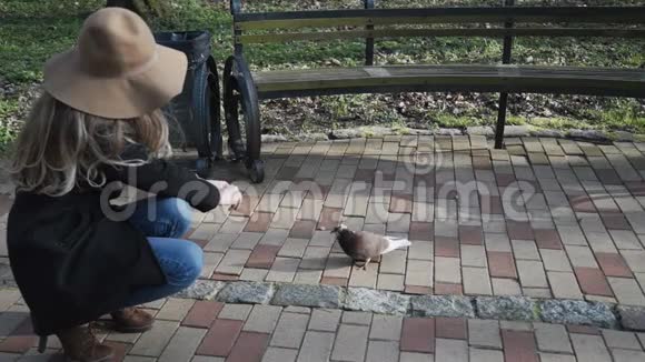 关门鸽子在年轻女人周围跑来跑去喂女孩动物从人类手中获取食物视频的预览图