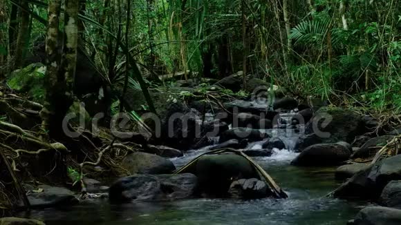 美丽的山溪流经泰国热带雨林的丰富森林视频的预览图