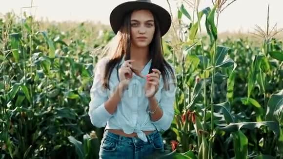 戴着帽子的年轻农民女孩在玉米地上在阳光下穿过高高的玉米秸秆农业耕作视频的预览图
