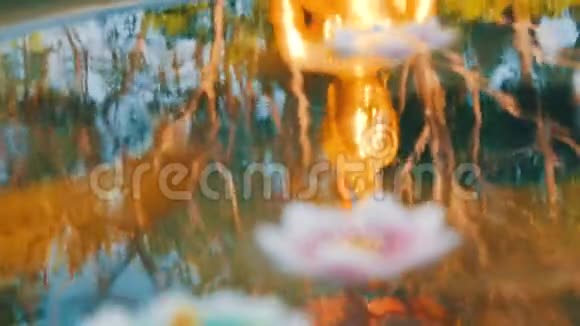 美丽的金色倒影在水中的佛像上各种蜡烛以莲花的形式漂浮着视频的预览图