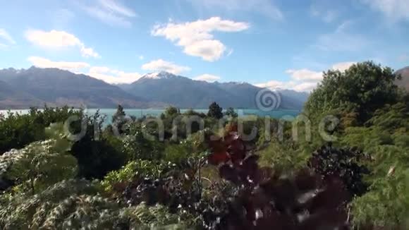 从新西兰的车窗可以看到海洋海岸的蛇形公路全景视频的预览图