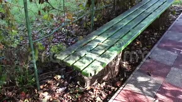 秋天的景象绿凳子和树叶飘落下来视频的预览图