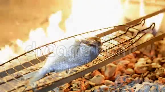 多罗多海金鱼玛代鱼烤过煤视频的预览图