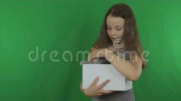 美丽的女孩与小猫沟通苏格兰折叠绿色屏幕股票视频视频视频的预览图