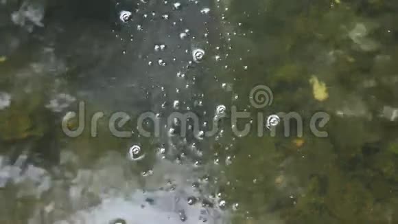 湖面上的气泡视频的预览图