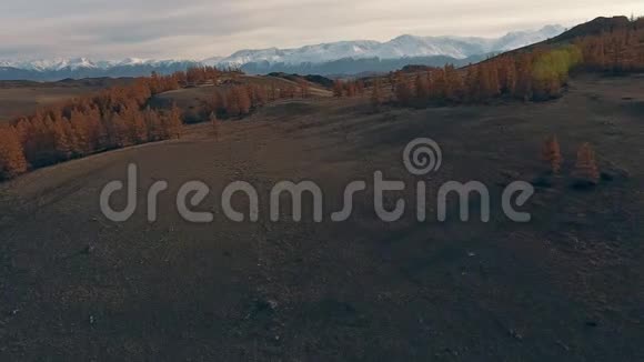 自然景观多山的雪峰黄树视频的预览图