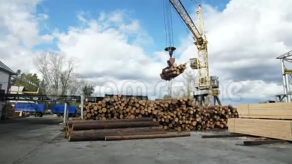 伐木工人和现代收割机在森林里工作木材作为可再生能源视频的预览图
