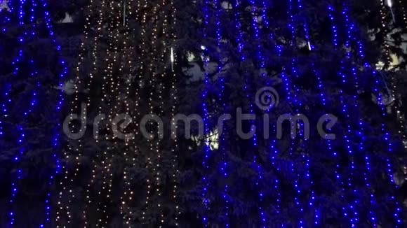 电动花环上的圣诞树晚安视频的预览图