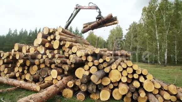 伐木工人和现代收割机在森林里工作木材作为可再生能源视频的预览图