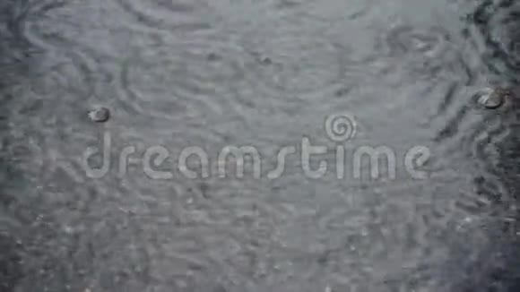 雨中路面上的水坑水滴掉进水里发散圆圈波的干扰四月的雨第一次视频的预览图