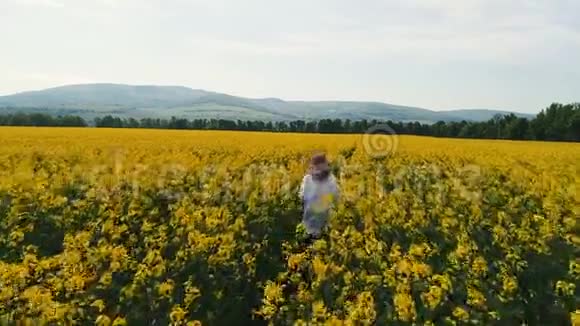 一架无人机飞过一个美丽的年轻女子所在的黄色开花区视频的预览图