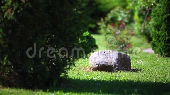 花园里的石头在绿色的背景上视频的预览图