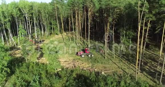 森林危害环境破坏生态视频的预览图