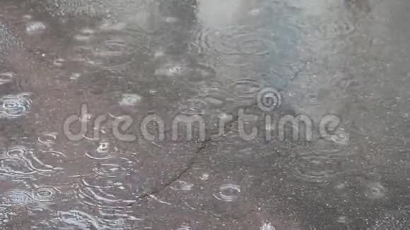 雨滴在水坑里随着气泡落下视频的预览图