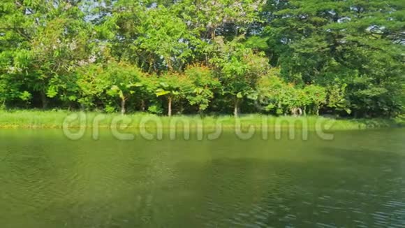 公园里的河流和有老桥的绿树视频的预览图