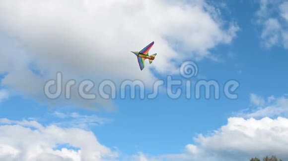 户外放风筝的女人视频的预览图