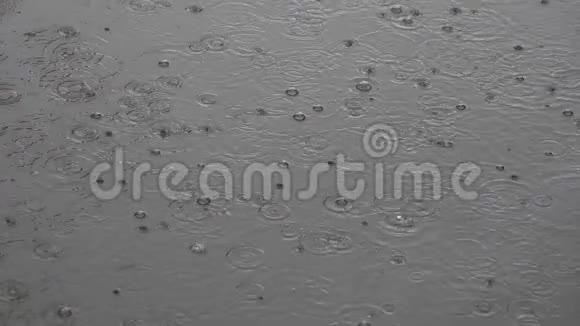 雨滴在水坑里随着气泡落下视频的预览图