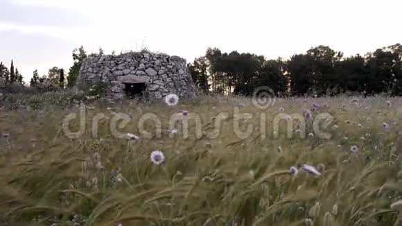 意大利南部的老农村房子风很大萨伦托视频的预览图