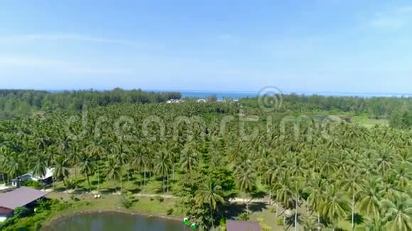 带湖的乡村景观向后走泰国空中飞行视频的预览图