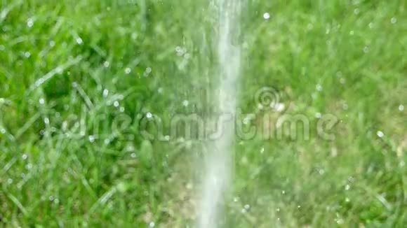 索洛莫水草坪洒水在绿草上喷水灌溉系统工作视频的预览图