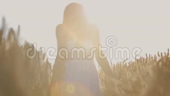 手触野草茎的特写日落时分穿着白色太阳服的年轻女子穿过草地慢动作视频的预览图