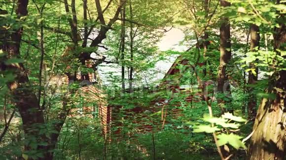 森林里的木屋绿树中间的房子一个安静的地方在大自然的怀抱中放松视频的预览图