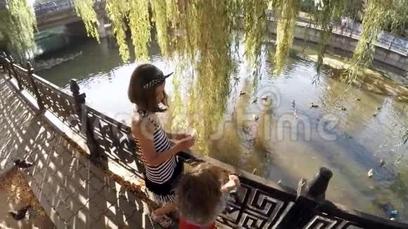 孩子们在城镇公园里喂鸭子视频的预览图