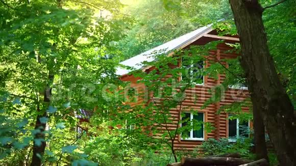森林里的木屋绿树中间的房子一个安静的地方在大自然的怀抱中放松视频的预览图