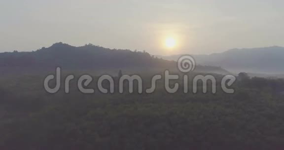 太阳从热带雨林上空升起空中飞行视频的预览图