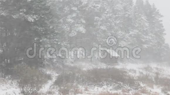 初雪暴风雪在村子里洗澡视频的预览图
