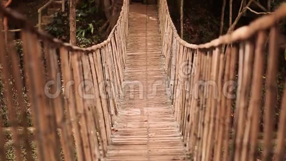 菲律宾博霍尔热带森林中的竹挂桥视频的预览图