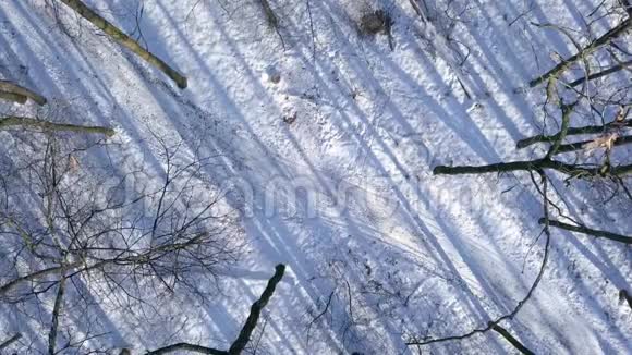 从高处到穿着温暖衣服的女人在美丽的冬季白雪覆盖的风景中漫步在一条小径上清楚视频的预览图