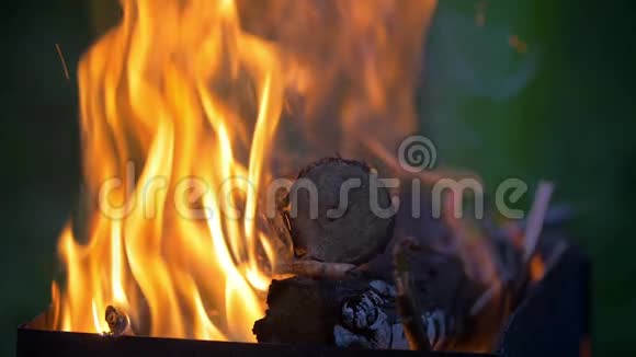 炉中烧柴火视频的预览图