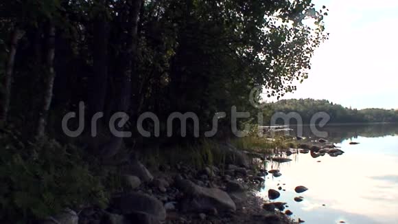 绿林背景下的白海岸视频的预览图