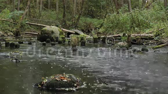 堵塞河上的原木和石头视频的预览图