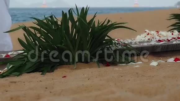 海滩上的婚礼视频的预览图