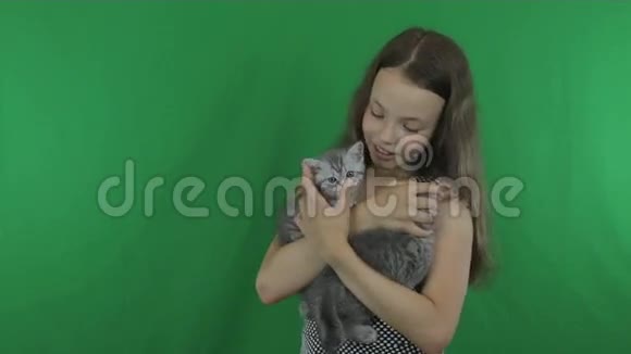 美丽的女孩与小猫沟通苏格兰折叠绿色屏幕股票视频视频视频的预览图