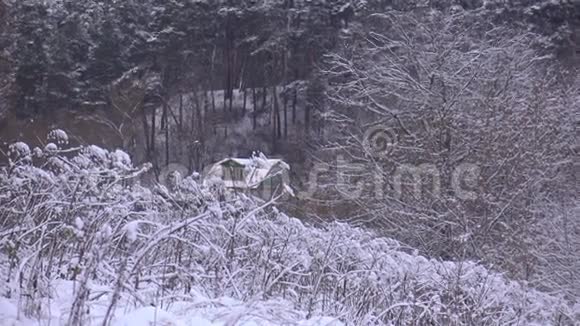 在美丽的白雪皑皑的冬林中秘密的小屋4K建立射击视频的预览图
