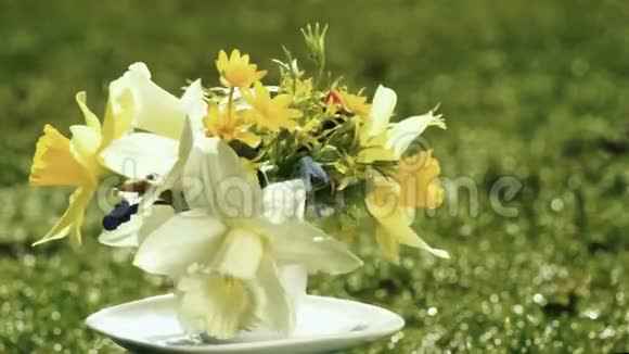 黄色水仙花和野花花束视频的预览图