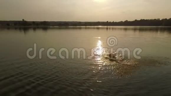 一个阳光普照的湖和一个游泳的年轻人视频的预览图