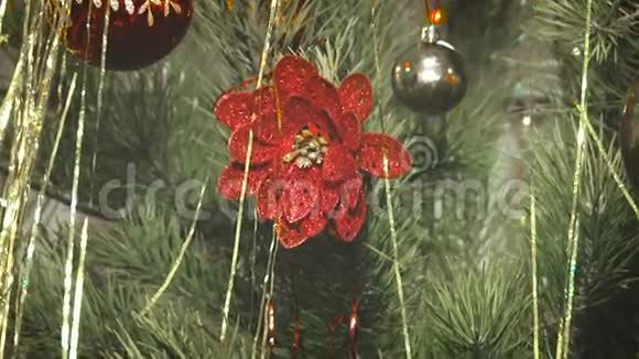 圣诞树上有一枝红花视频的预览图