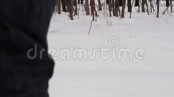 在深雪中行走的人视频的预览图