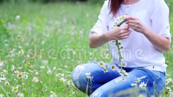夏天在一片甘菊的草地上在一片森林里一个年轻的女人一个黑发的女人织着一个甘菊花圈视频的预览图